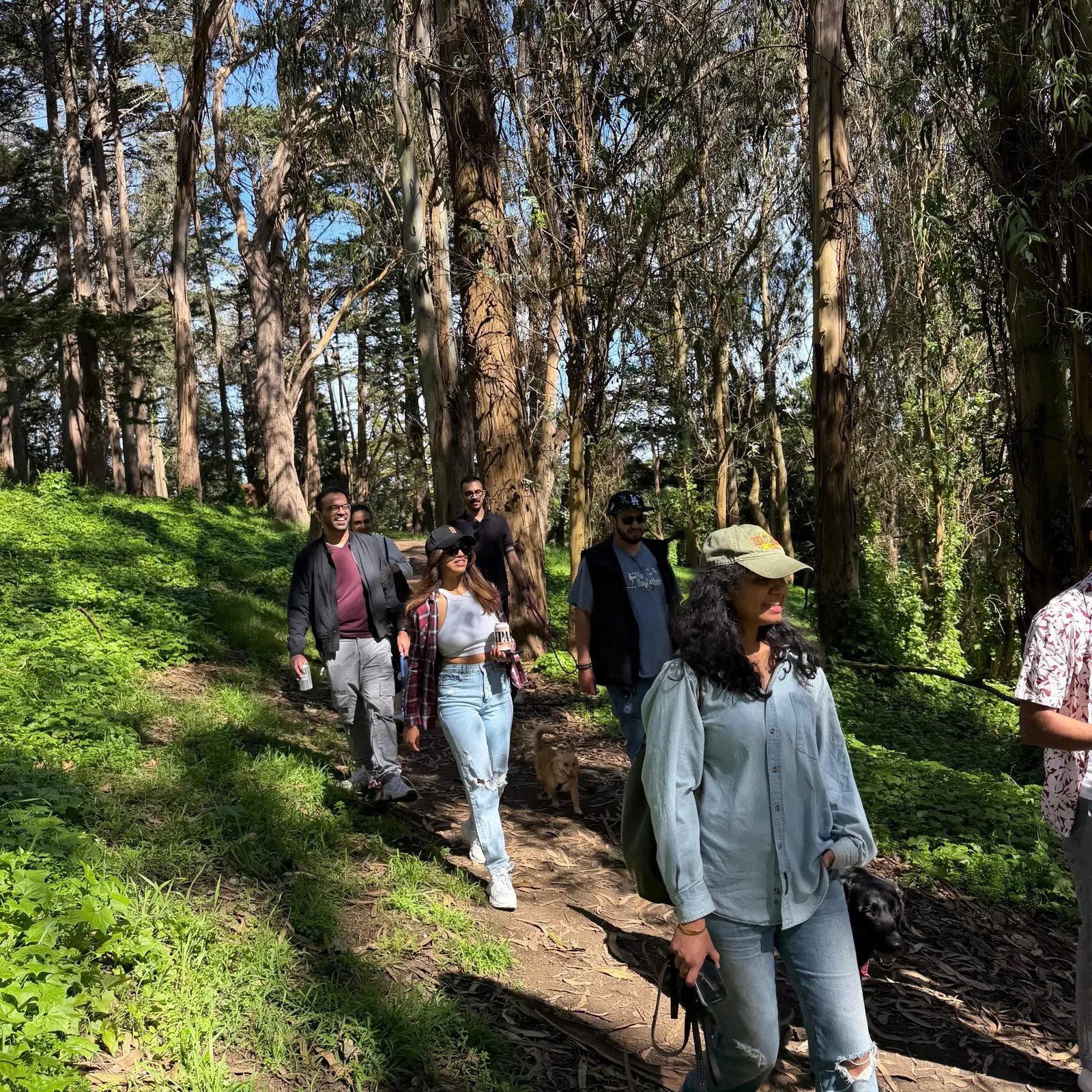 Members walking a shaded forest trail with their dogs