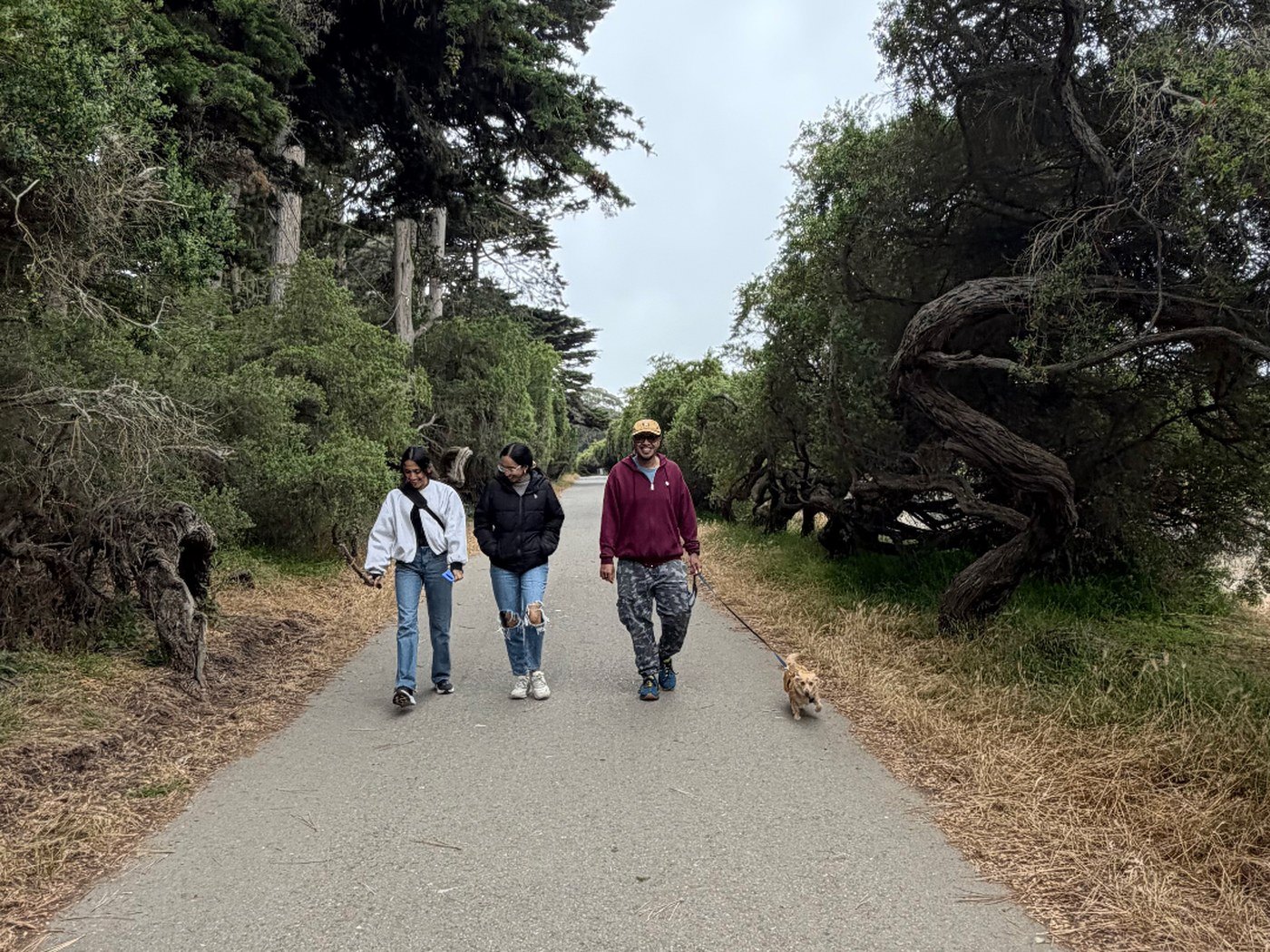 Three members walking along a tree-lined path with a small dog on a leash
